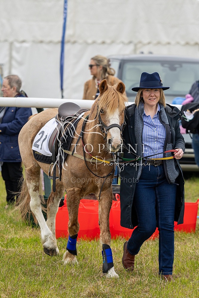 Fife Point-to-Point