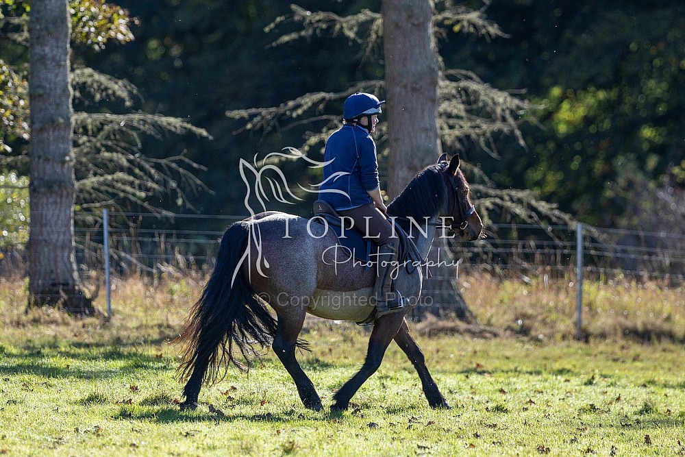 Kinnaird Castle, Brechin - Fun Ride