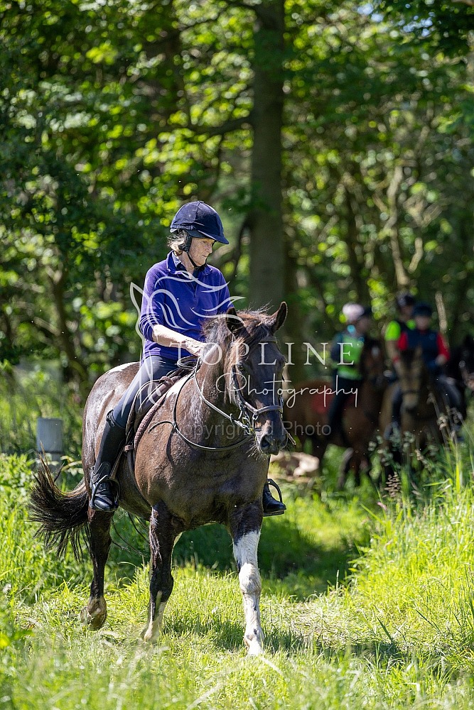Kippo Farm - Fun Ride